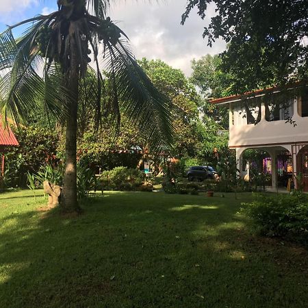 אוביטה Casa Ballena Eco Hostel מראה חיצוני תמונה