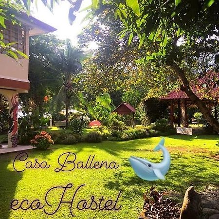 אוביטה Casa Ballena Eco Hostel מראה חיצוני תמונה