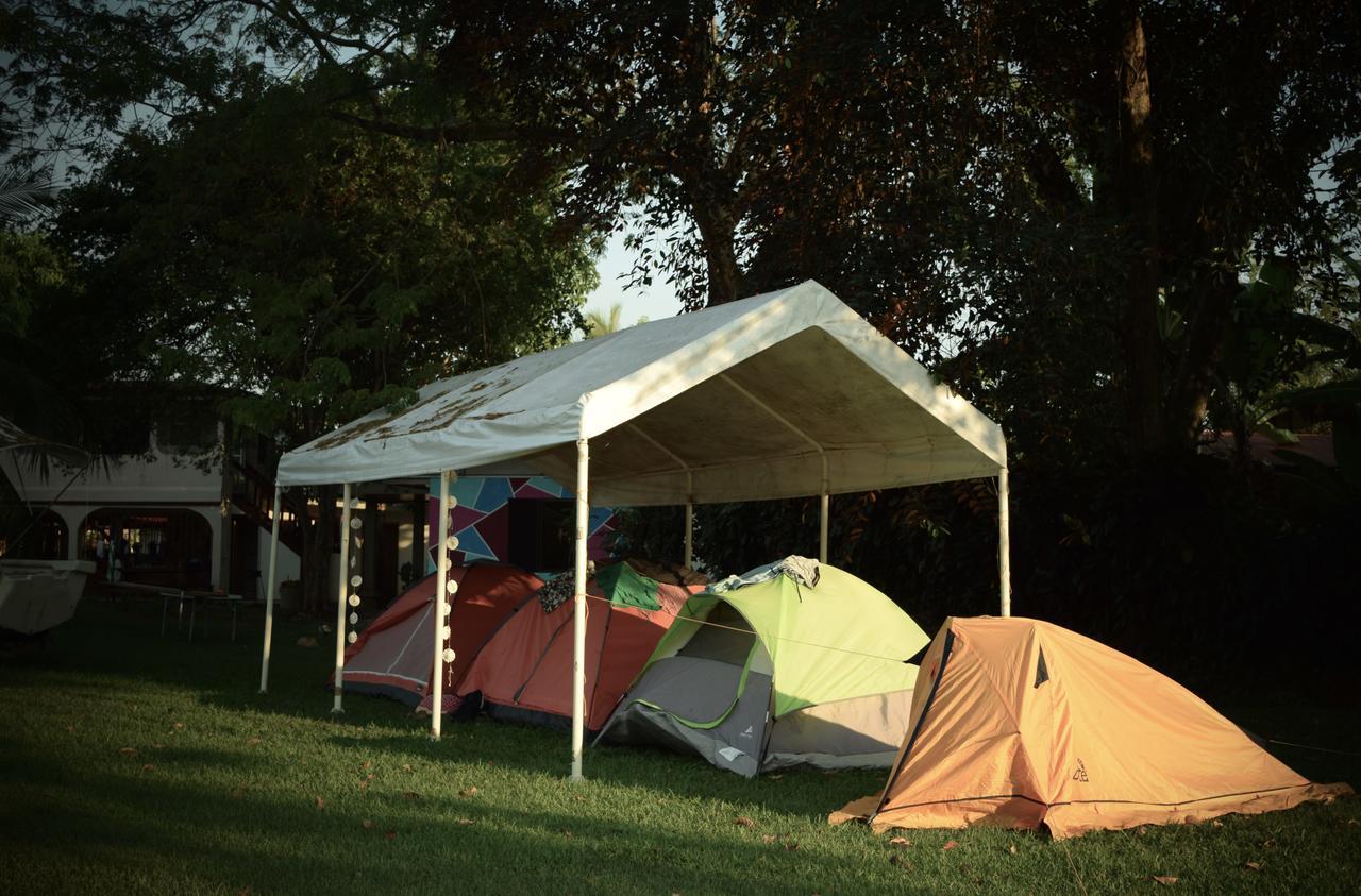 אוביטה Casa Ballena Eco Hostel מראה חיצוני תמונה