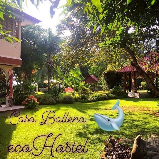 אוביטה Casa Ballena Eco Hostel מראה חיצוני תמונה