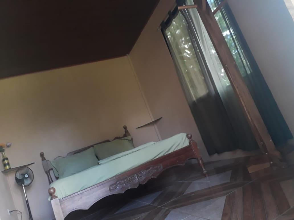 אוביטה Casa Ballena Eco Hostel מראה חיצוני תמונה